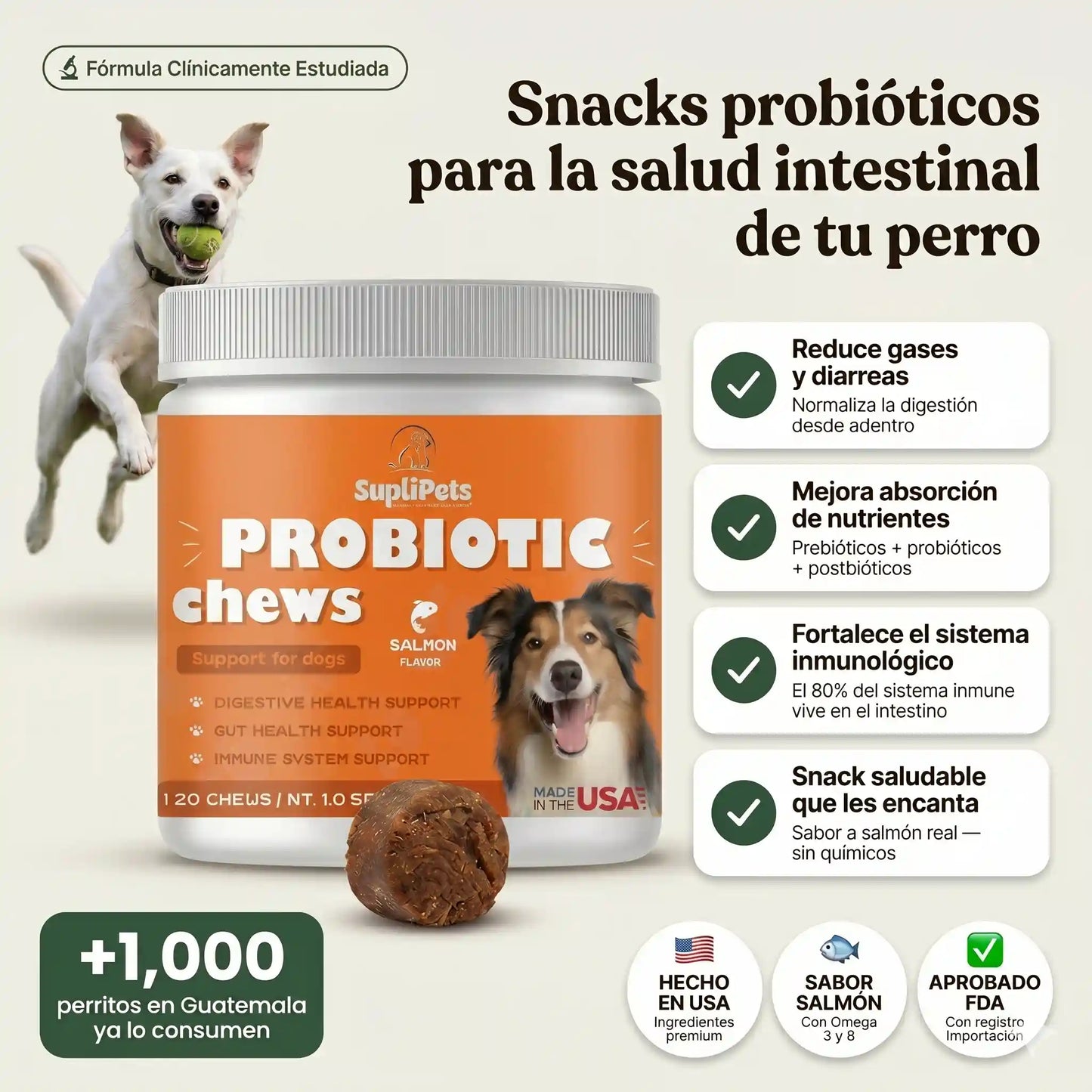 Probiotic Chew