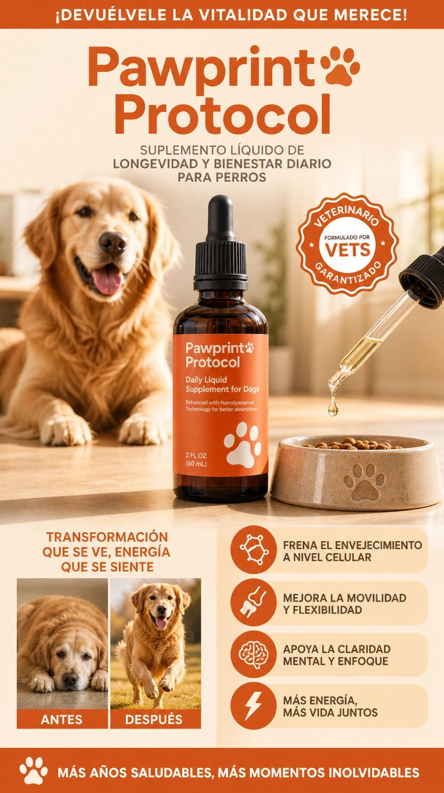 Respaldo científico para aumentar la esperanza de vida de los perros
