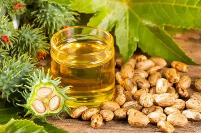 Aceite de Ricino Orgánico