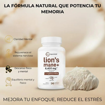 Melena de León en Capsulas  Enfoque mental y claridad diaria