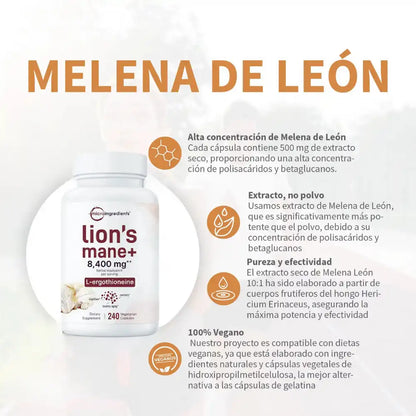 Melena de León en Capsulas  Enfoque mental y claridad diaria
