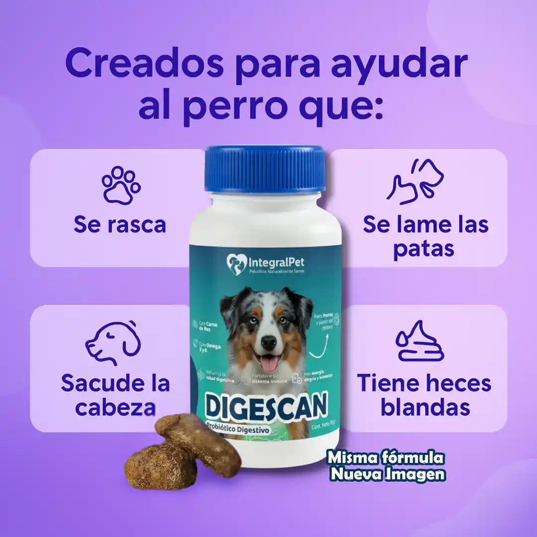 🔴 IntegralPet™ 2x1 | Recupera la Salud de tu Perro ✅
