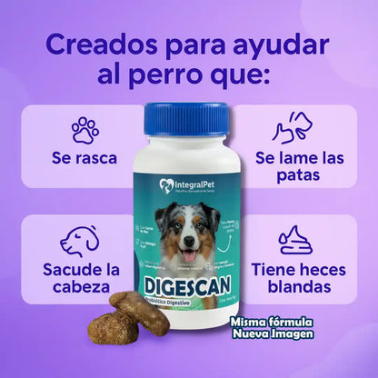 🔴 IntegralPet™ 2x1 | Recupera la Salud de tu Perro ✅