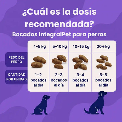 🔴 IntegralPet™ 2x1 | Recupera la Salud de tu Perro ✅