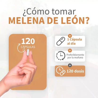 Melena de León en Capsulas  Enfoque mental y claridad diaria