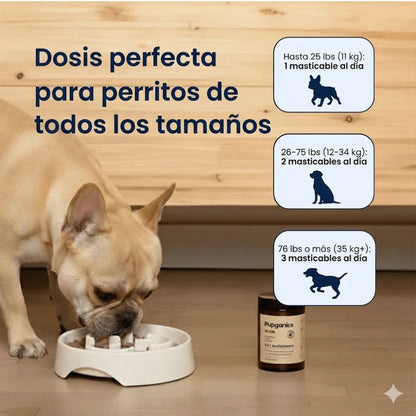 Masticables blandos diarios multivitamínicos Pupganics™