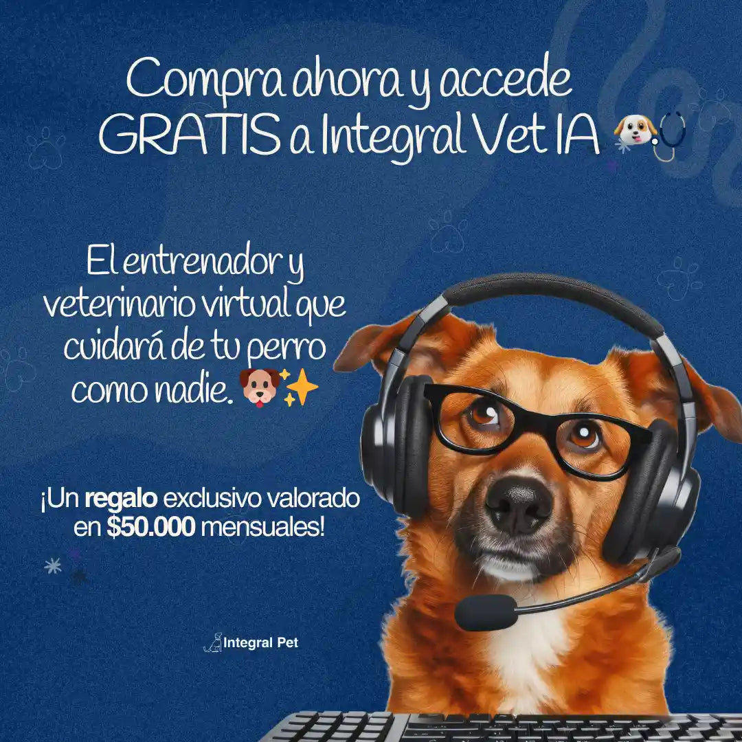 🔴 IntegralPet™ 2x1 | Recupera la Salud de tu Perro ✅