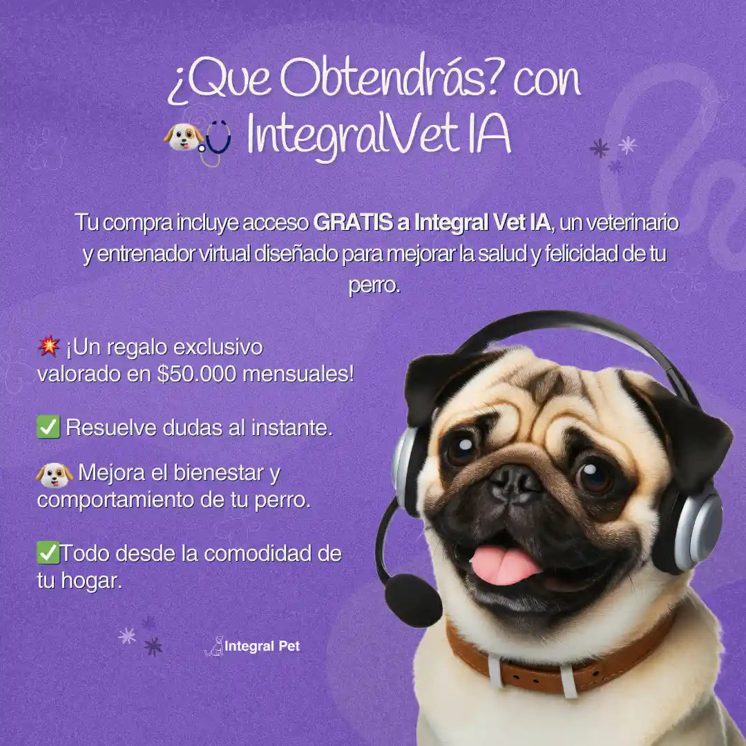🔴 IntegralPet™ 2x1 | Recupera la Salud de tu Perro ✅