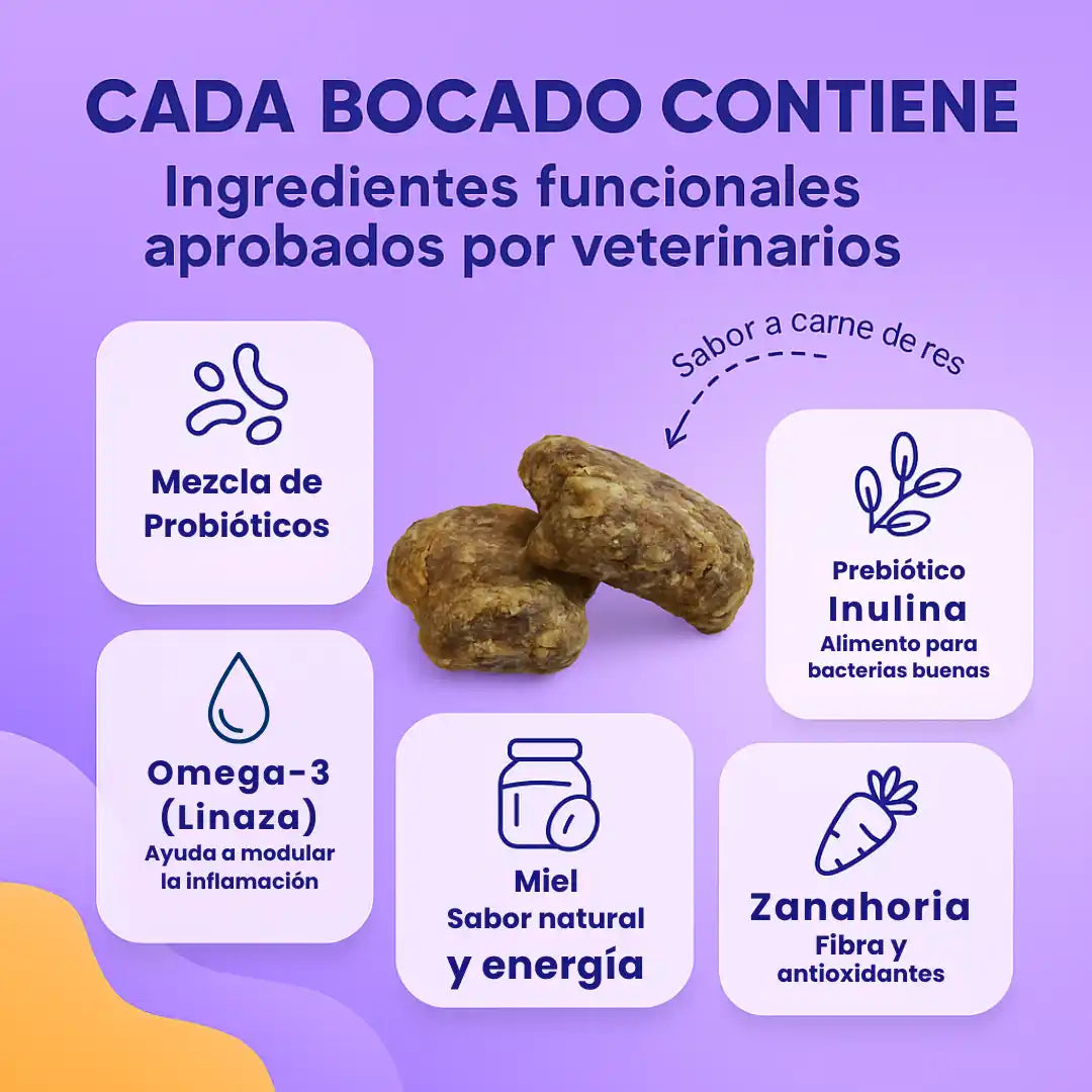 🔴 IntegralPet™ 2x1 | Recupera la Salud de tu Perro ✅