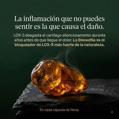 Curcumina + Boswellia para el apoyo articular