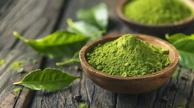 Extracto de Té Verde