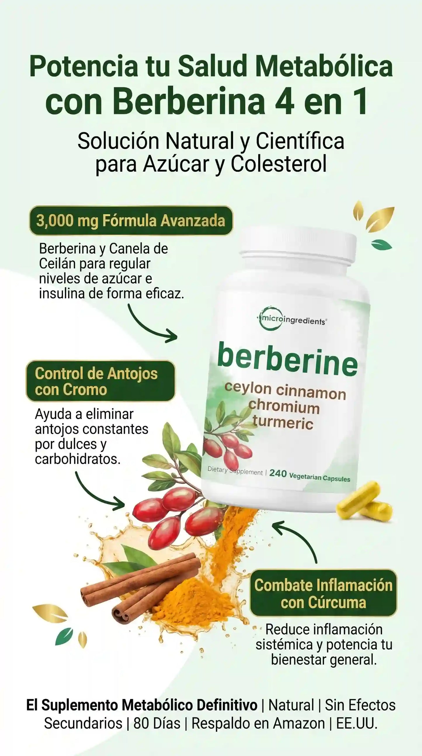 BERBERINA