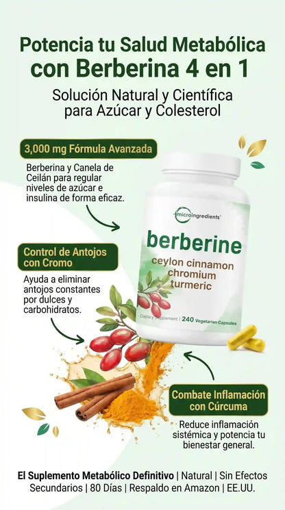 BERBERINA