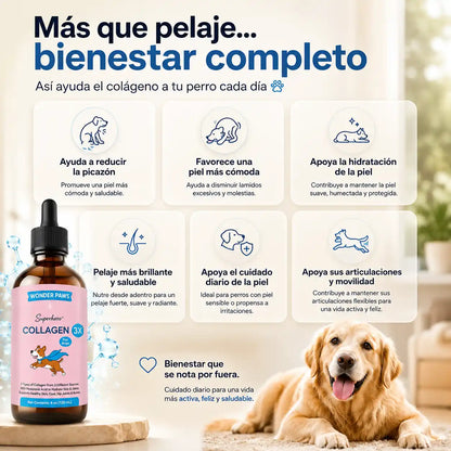 Collagen Drops — Piel Sana, Pelaje Brillante y Articulaciones Fuertes