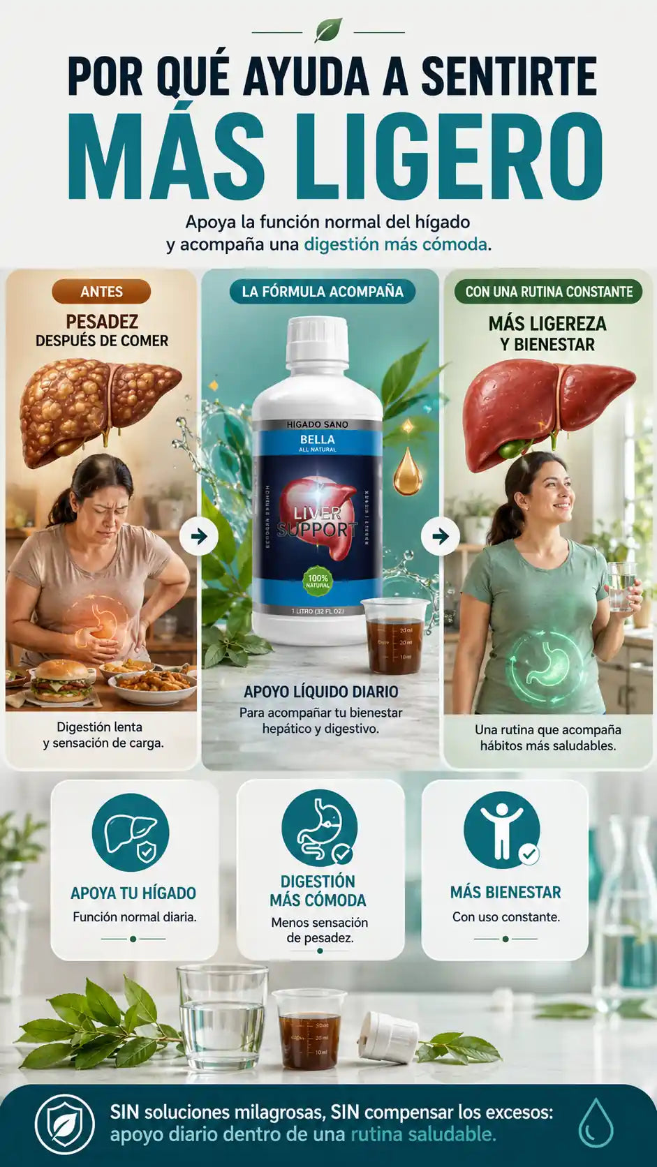 bella-liver-2