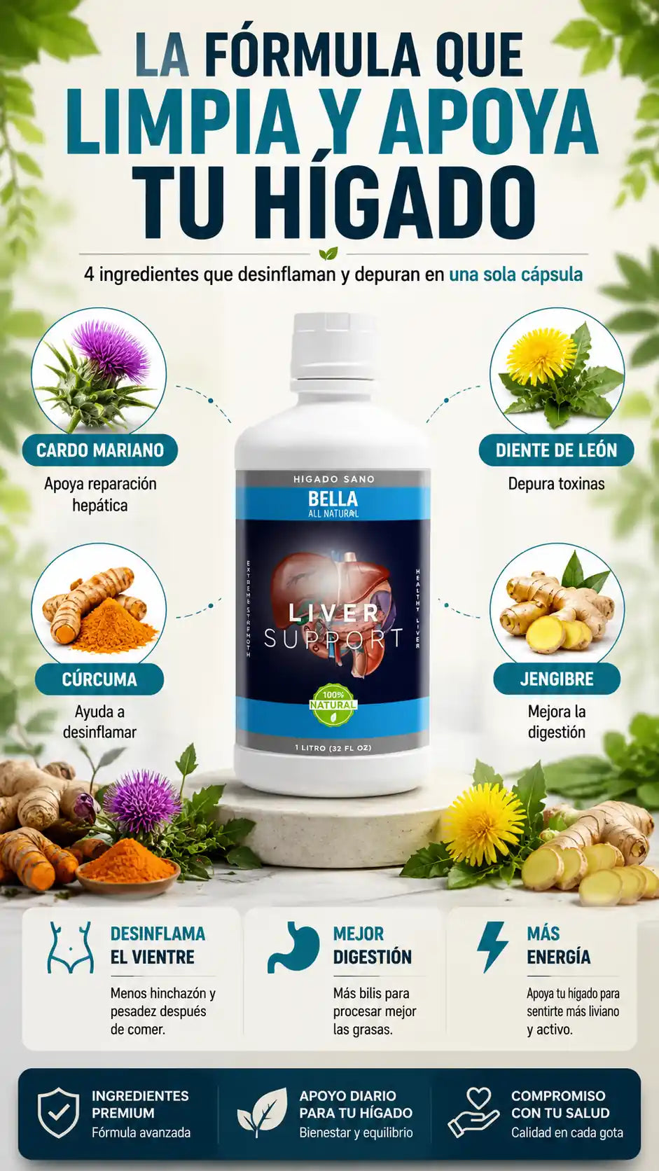 bella-liver-3