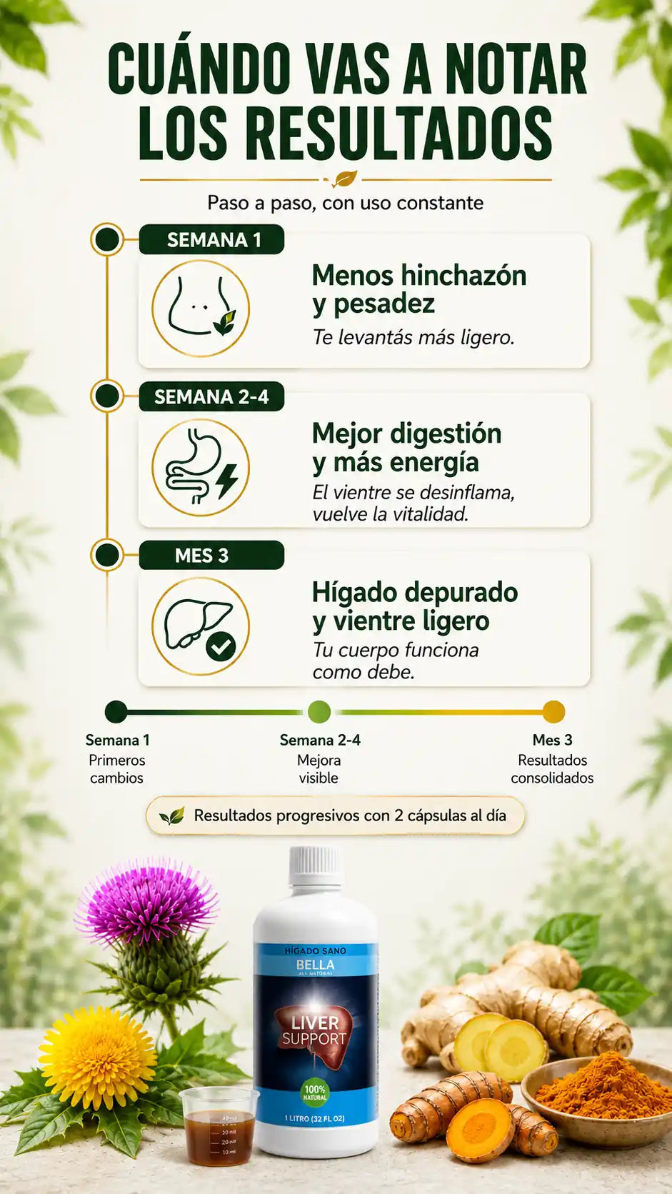 bella-liver-4