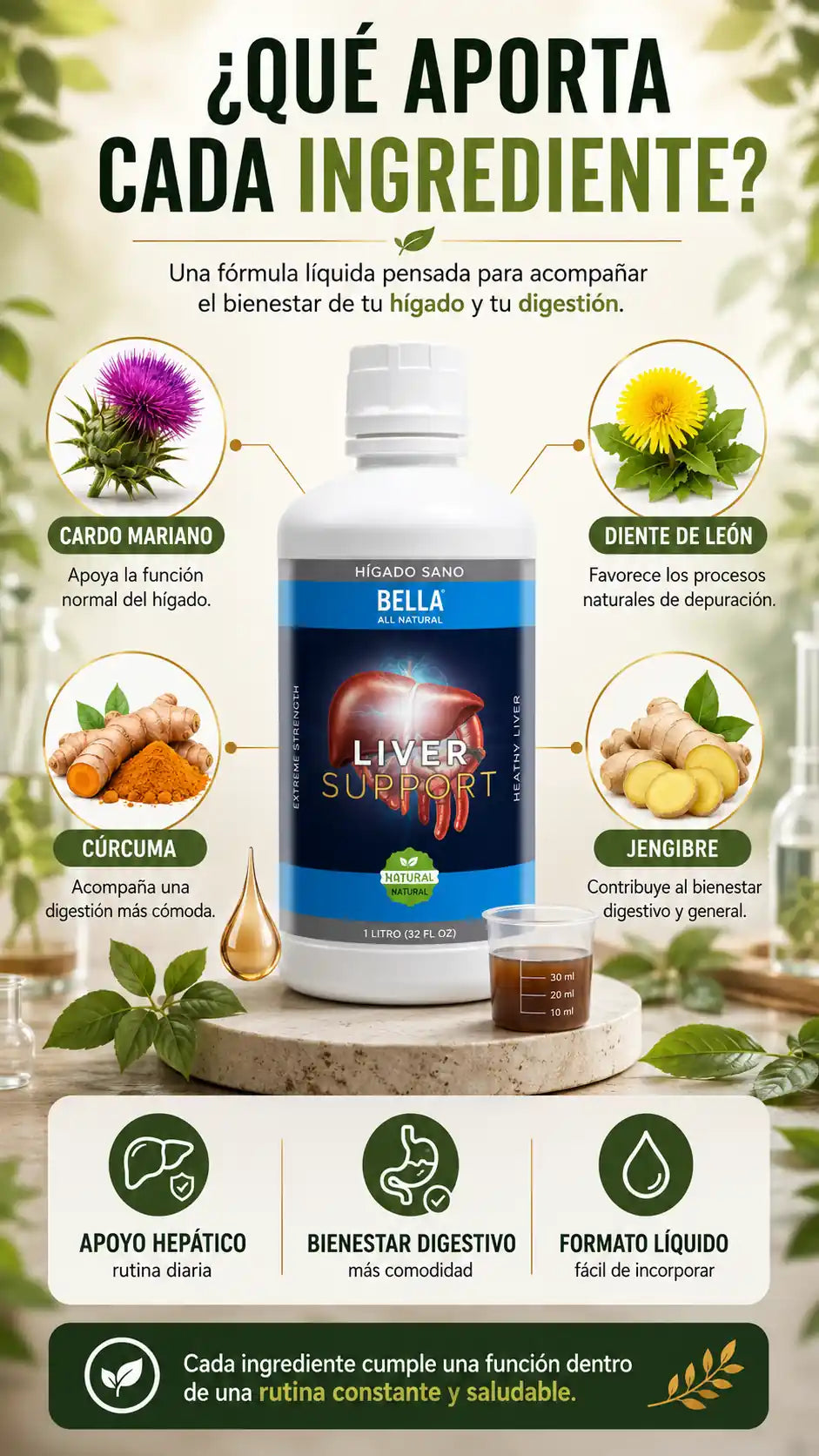 bella-liver-6