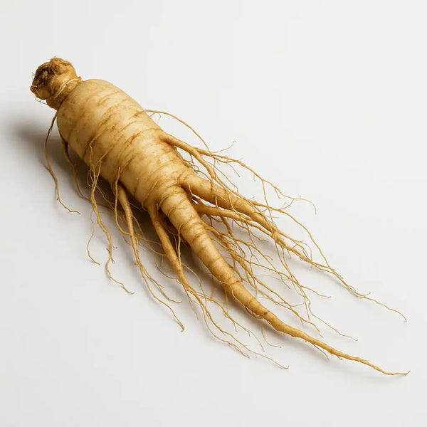 Ginseng