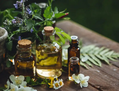 Extractos vegetales de apoyo nutricional